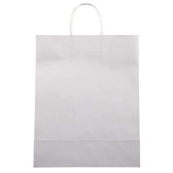 Cheap 🧨 Glossy White Paper Bag by Celebrate It™ ✔️