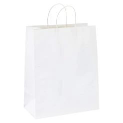 Cheap 🧨 Glossy White Paper Bag by Celebrate It™ ✔️ -Celebrate It Sales Shop 10255465 31