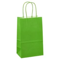 Best Pirce 🔔 Small Green Paper Bags by Celebrate It™ 🧨