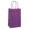 Flash Sale ⭐ Small Purple Paper Bags by Celebrate It™ 🌟