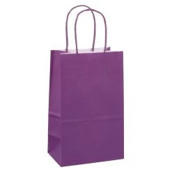 Flash Sale ⭐ Small Purple Paper Bags by Celebrate It™ 🌟