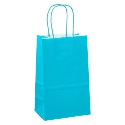 Budget 🌟 Small Turquoise Paper Bags by Celebrate It™ 🎁