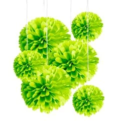 Hot Sale 👍 Green Paper Pom Poms By Celebrate It™ 😉