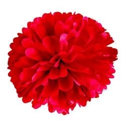 Best Pirce 🔔 Red Paper Pom Poms By Celebrate It™ 👍 -Celebrate It Sales Shop 10525493 5