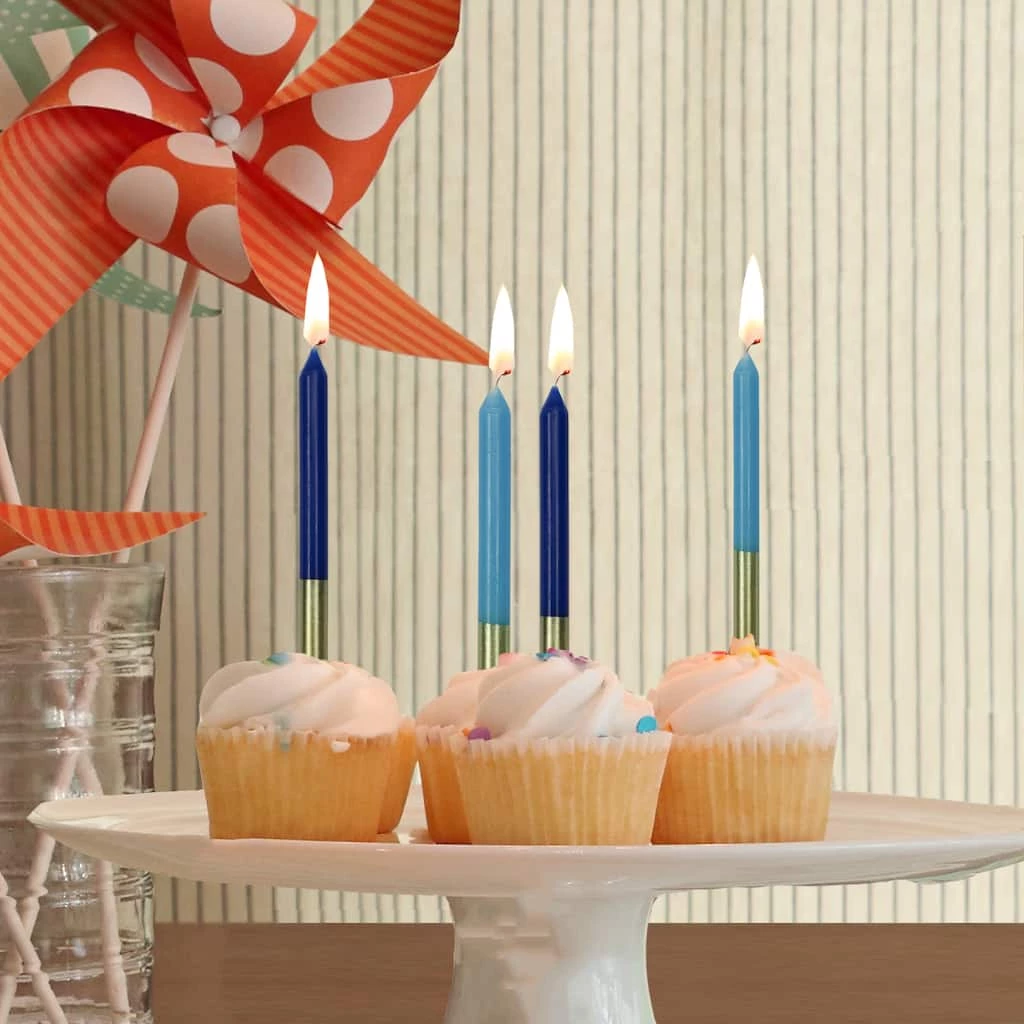 Best Pirce 😍 12 Packs: 12 ct. (144 total) Gold Dipped Blue 🎂 Birthday Candles by Celebrate It™ 🥰 2 Best Pirce 😍 12 Packs: 12 ct. (144 total) Gold Dipped Blue 🎂 Birthday Candles by Celebrate It™ 🥰 - Image 2