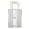 Budget 👏 Small Silver Gift Bag Value Pack by Celebrate It™ 🎁
