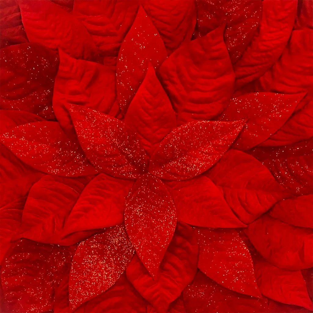 Buy 🎁 Sparkly Red Leaf 🎁 Christmas Placemat by Celebrate It™ ✨ 2 Buy 🎁 Sparkly Red Leaf 🎁 Christmas Placemat by Celebrate It™ ✨ - Image 2