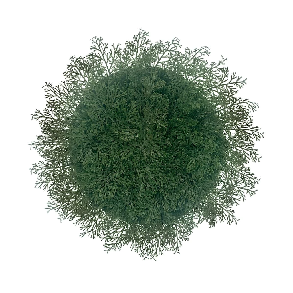 New ๐คฉ Fern ๐ Christmas Placemat by Celebrate It™ ๐ 1 New ๐คฉ Fern ๐ Christmas Placemat by Celebrate It™ ๐