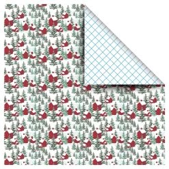 Best reviews of 🧨 Winter Farm Gift Wrap by Celebrate It™ 🎄 Christmas 😍